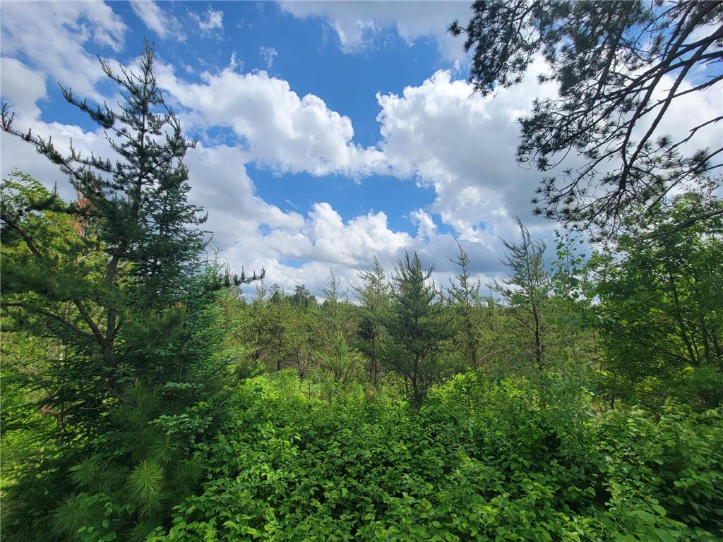 1045B State Trail Crow Wing Lake Twp MN 56467 7091823 image14