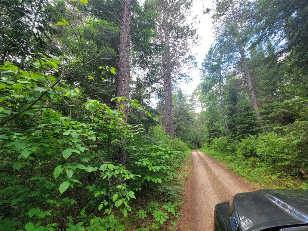 1045B State Trail Crow Wing Lake Twp MN 56467 7091823 image16