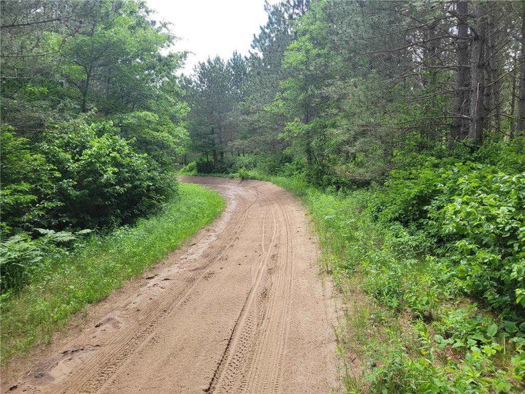 1045B State Trail Crow Wing Lake Twp MN 56467 7091823 image2