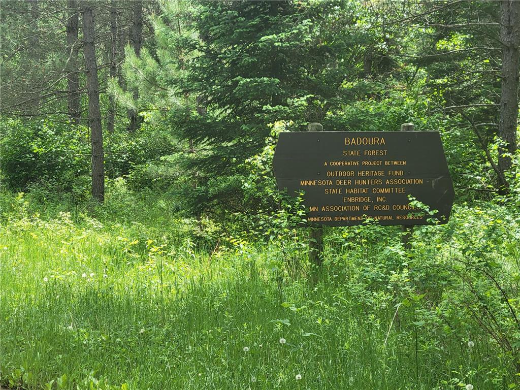 1045B State Trail Crow Wing Lake Twp MN 56467 7091823 image4