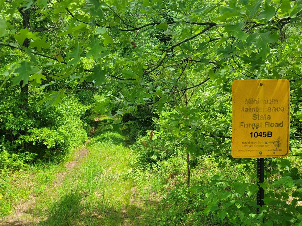 1045B State Trail Crow Wing Lake Twp MN 56467 7091823 image5