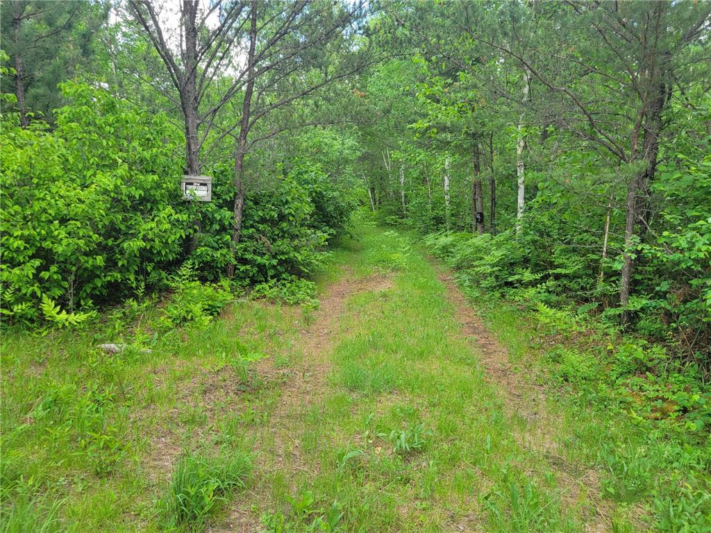 1045B State Trail Crow Wing Lake Twp MN 56467 7091823 image6