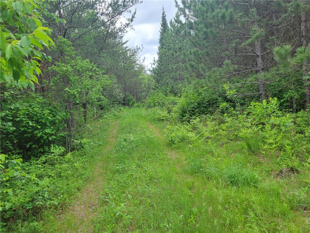 1045B State Trail Crow Wing Lake Twp MN 56467 7091823 image7