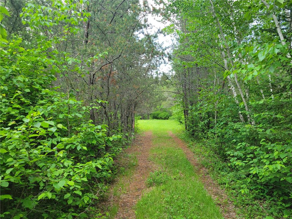 1045B State Trail Crow Wing Lake Twp MN 56467 7091823 image8