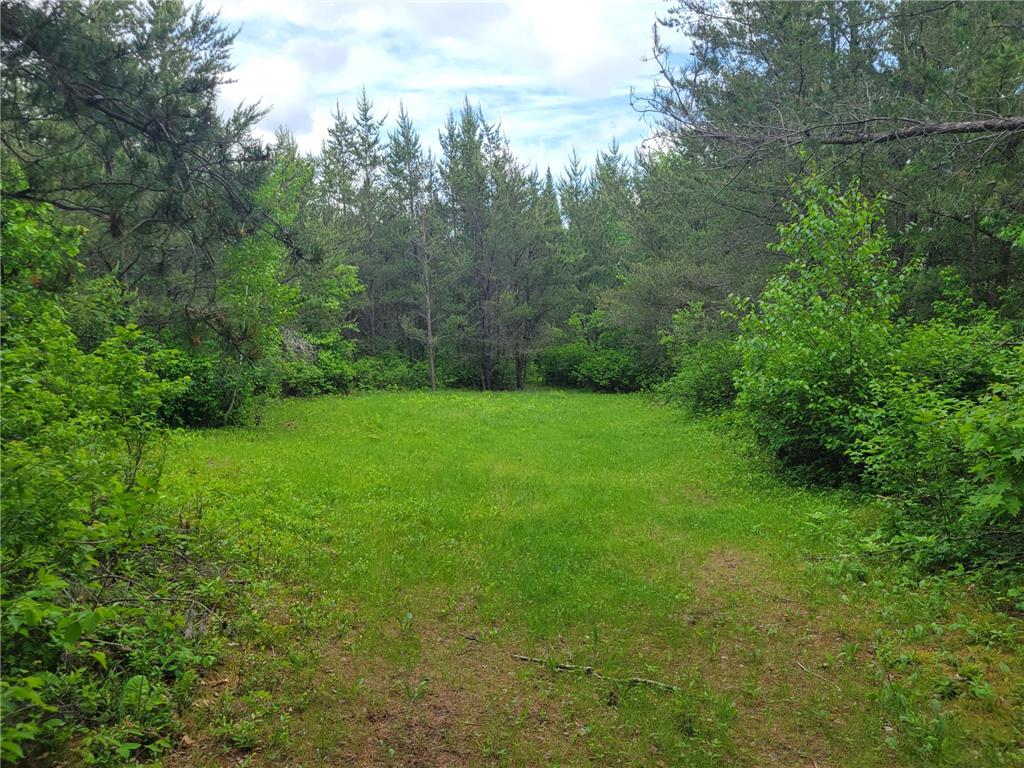 1045B State Trail Crow Wing Lake Twp MN 56467 7091823 image9