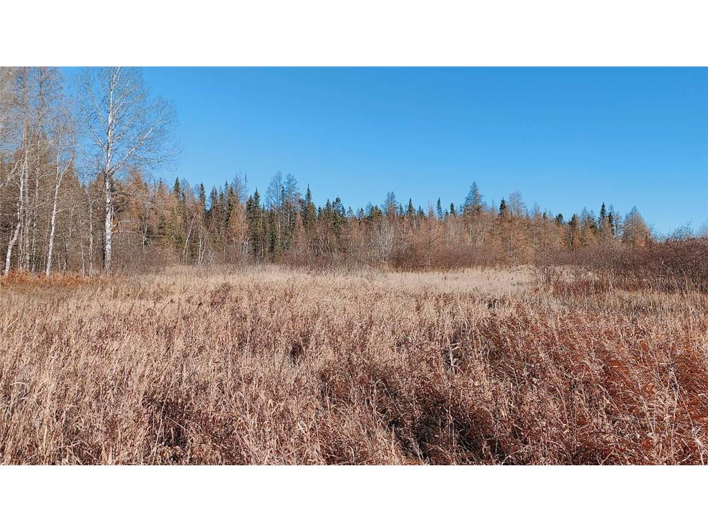 10478 Leander Road Alango Twp MN 55703 7046774 image28