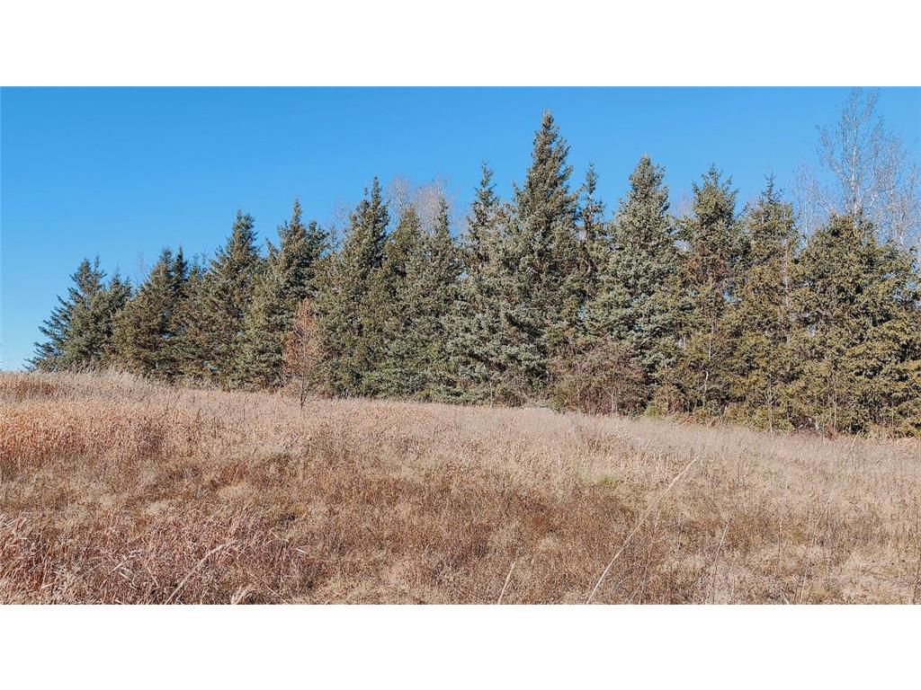 10478 Leander Road Alango Twp MN 55703 7046774 image29