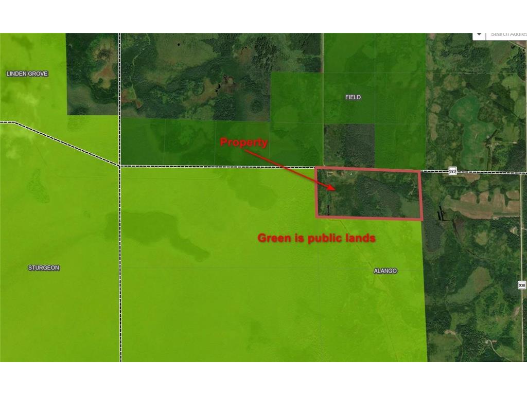 10478 Leander Road Alango Twp MN 55703 7046774 image3