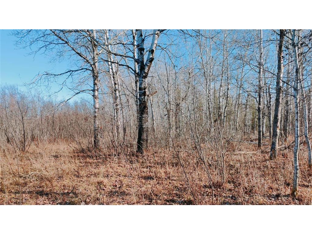 10478 Leander Road Alango Twp MN 55703 7046774 image30