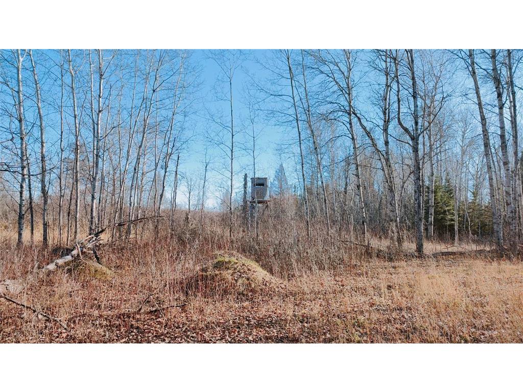 10478 Leander Road Alango Twp MN 55703 7046774 image31