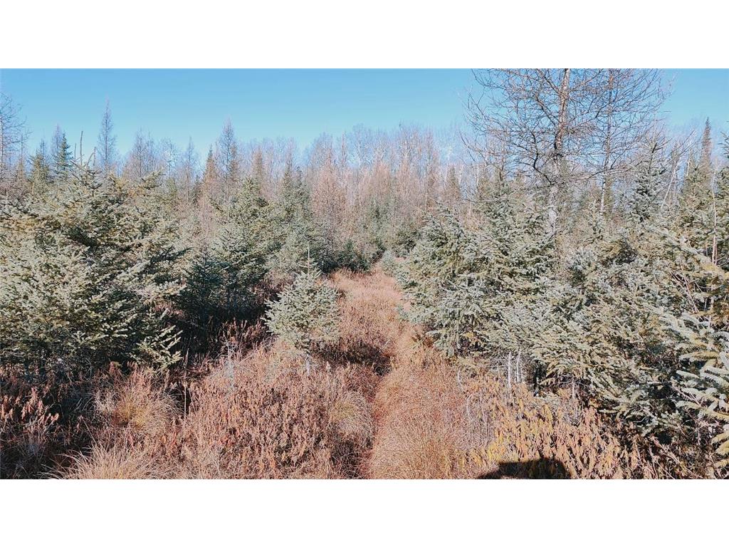 10478 Leander Road Alango Twp MN 55703 7046774 image32