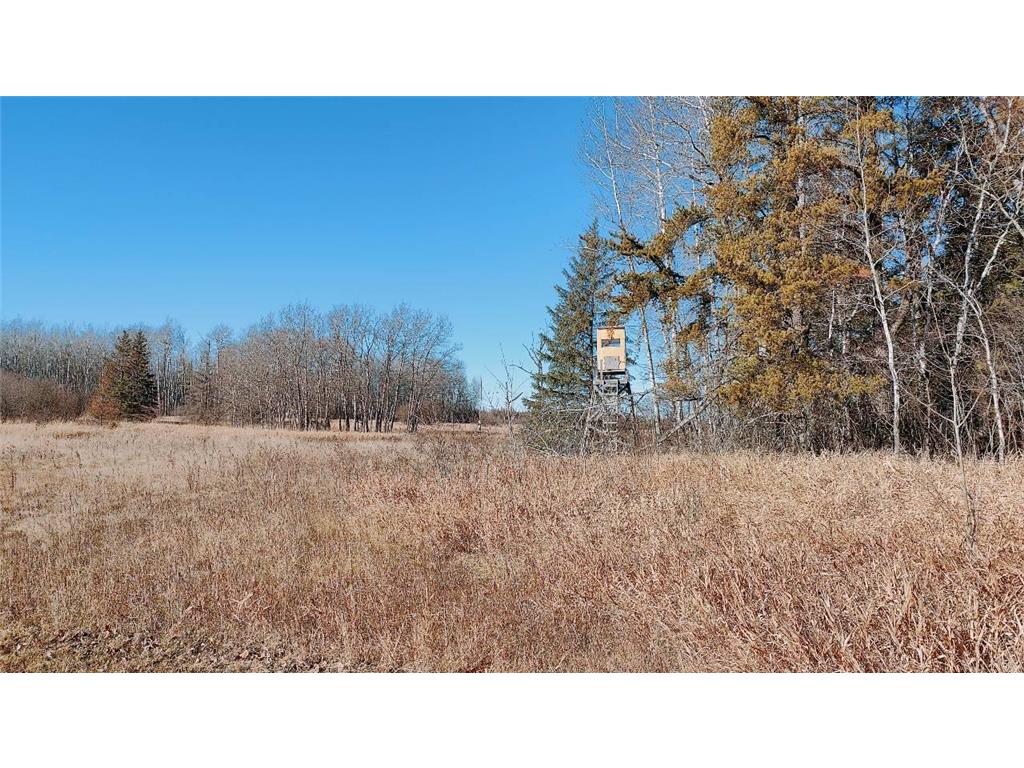 10478 Leander Road Alango Twp MN 55703 7046774 image33