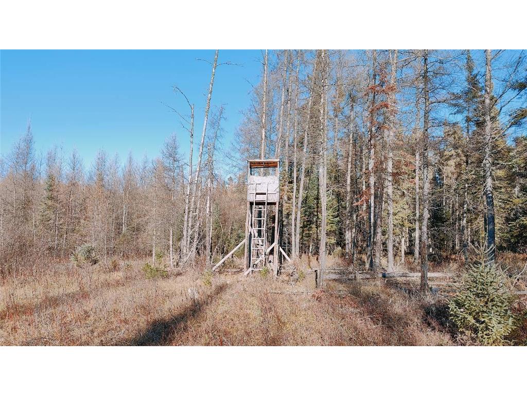 10478 Leander Road Alango Twp MN 55703 7046774 image35