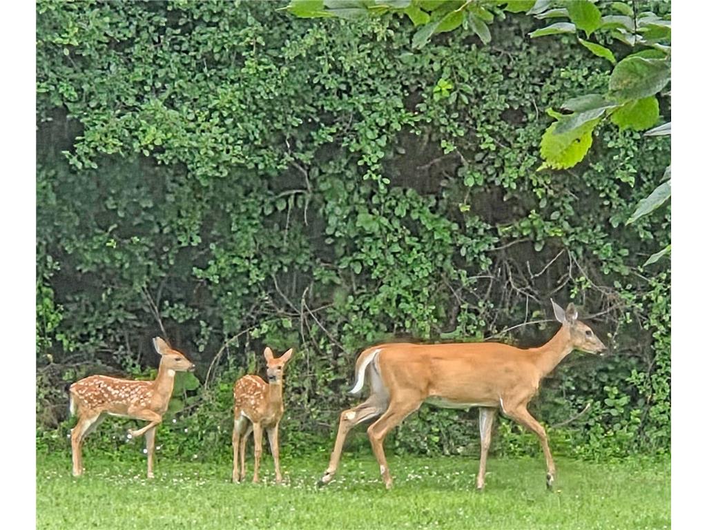 1048 85th Avenue Lincoln Twp WI 54001 6806713 image12