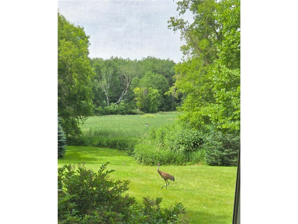 1048 85th Avenue Lincoln Twp WI 54001 7099416 image64