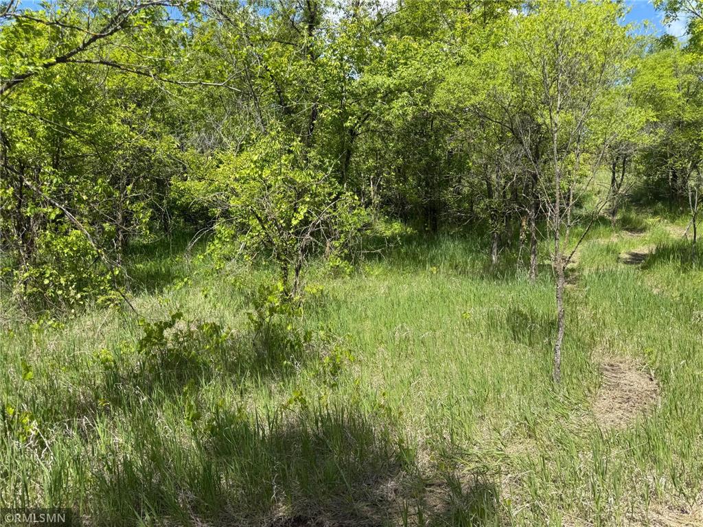 10485 4th Street NE Hanover MN 55341 6720428 image4