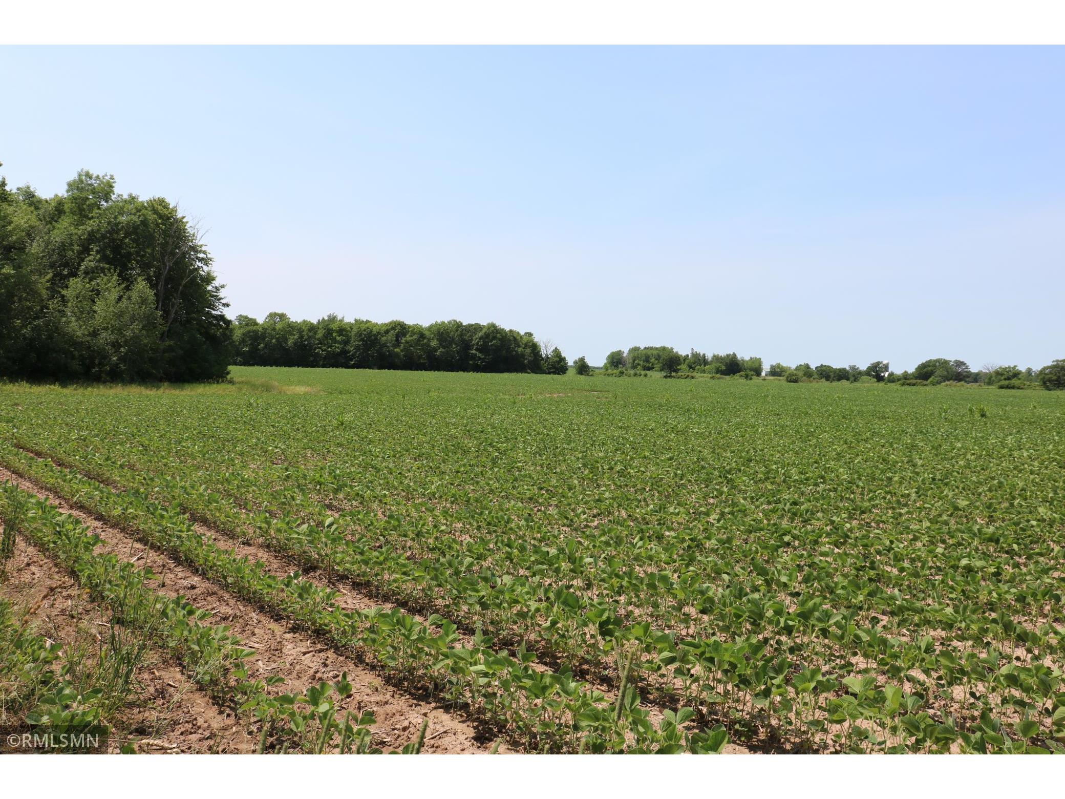 10488 Ravine Road, Pine City, MN, 55063 MLS 6019661 Edina Realty