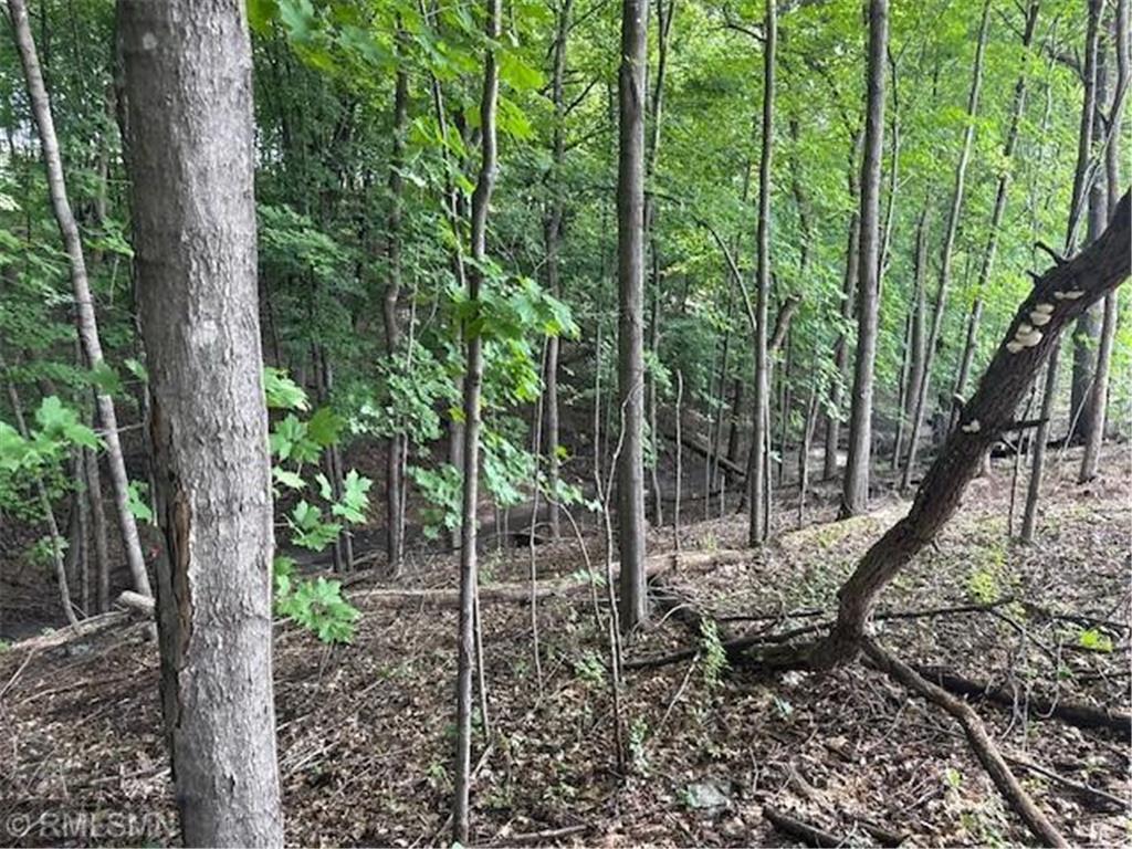 10492 Kalland Lane NE Hanover MN 55341 6823385 image1