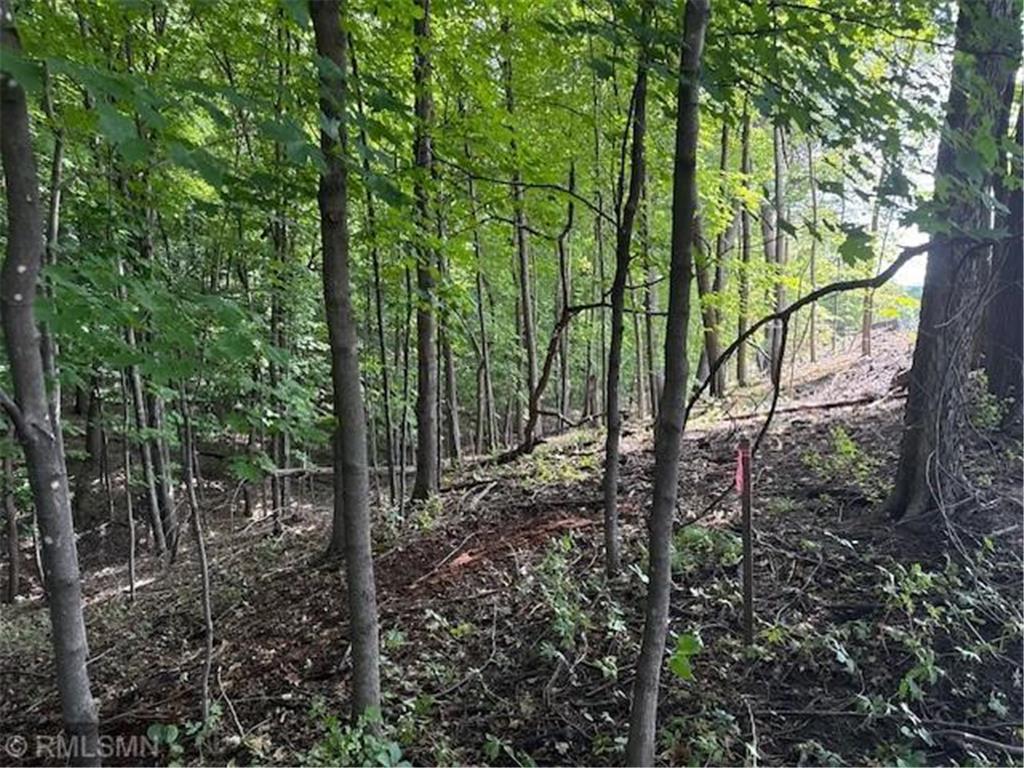 10492 Kalland Lane NE Hanover MN 55341 6823385 image2