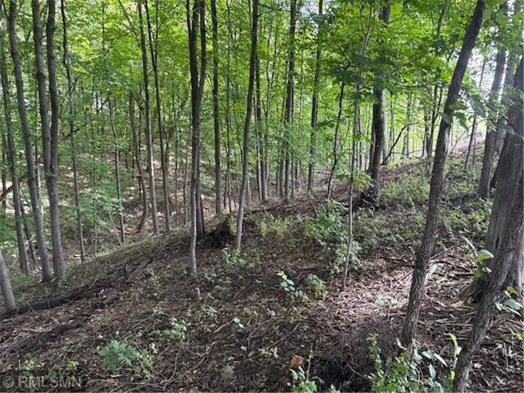 10492 Kalland Lane NE Hanover MN 55341 6823385 image3