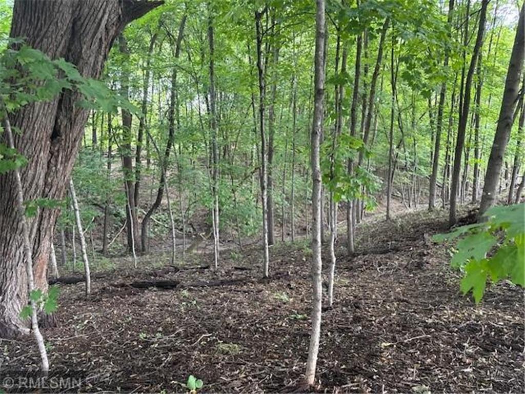 10492 Kalland Lane NE Hanover MN 55341 6823385 image4