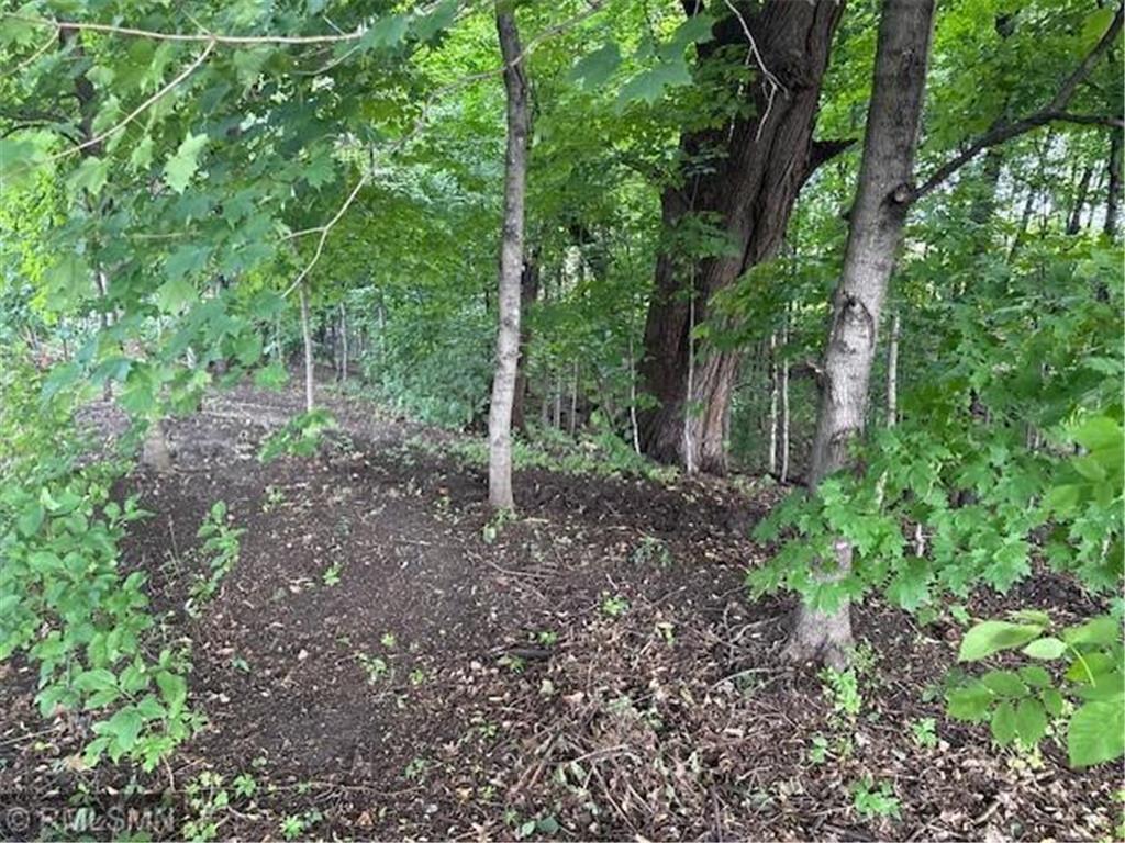 10492 Kalland Lane NE Hanover MN 55341 6823385 image5