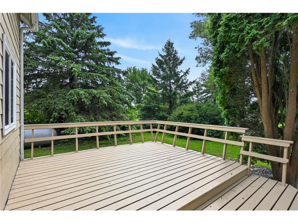 105 Anderson Street Brandon MN 56315 7104741 image41