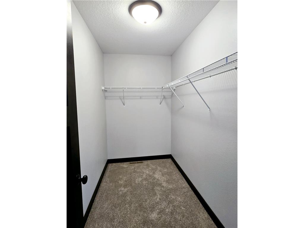 105 Kilkenny Court Green Isle MN 55338 7017978 image18