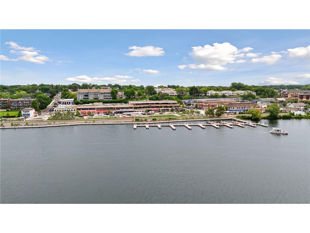 105 Walker Avenue N Wayzata MN 55391 7029478 image123