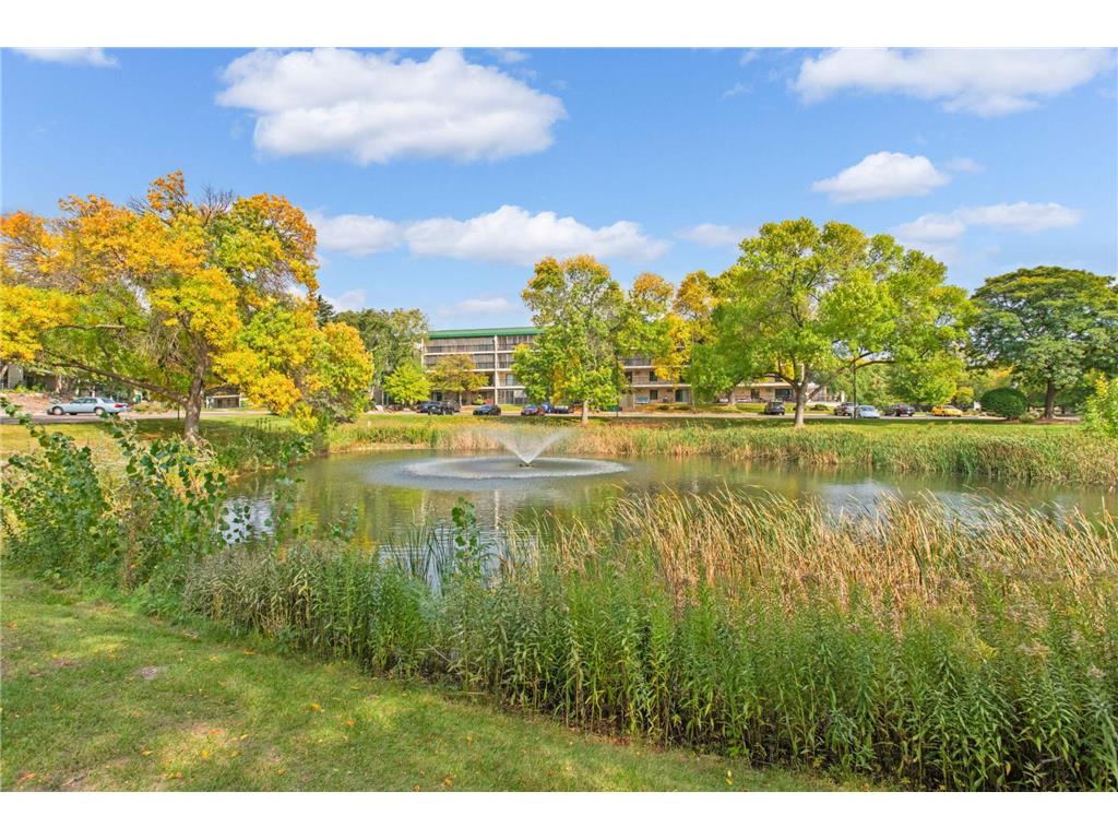 10501 Cedar Lake Rd #420 Minnetonka MN 55305 6799010 image40