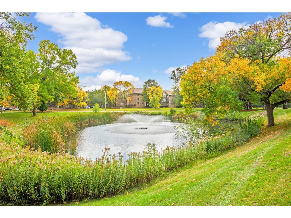 10501 Cedar Lake Rd #420 Minnetonka MN 55305 6799010 image41