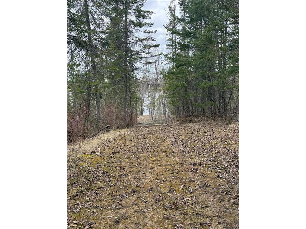 10507 Highway 11 South Koochiching Unorg. Terr. MN 56623 7068835 image39