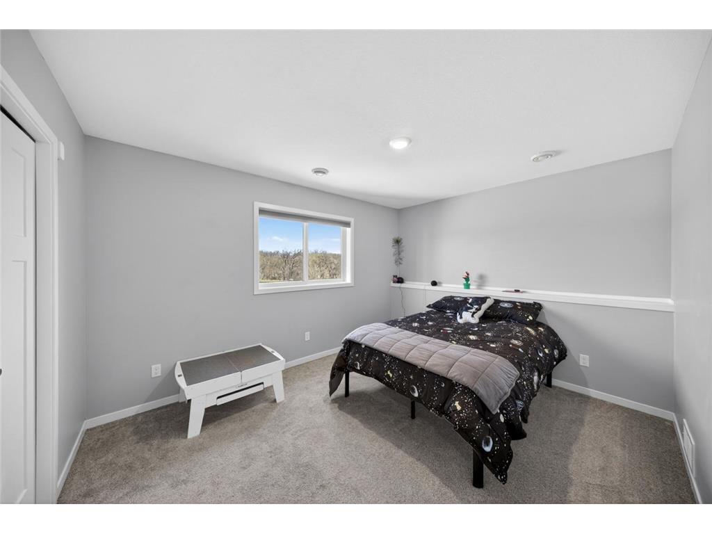 1051 3rd Street Wanamingo MN 55065 7034202 image15