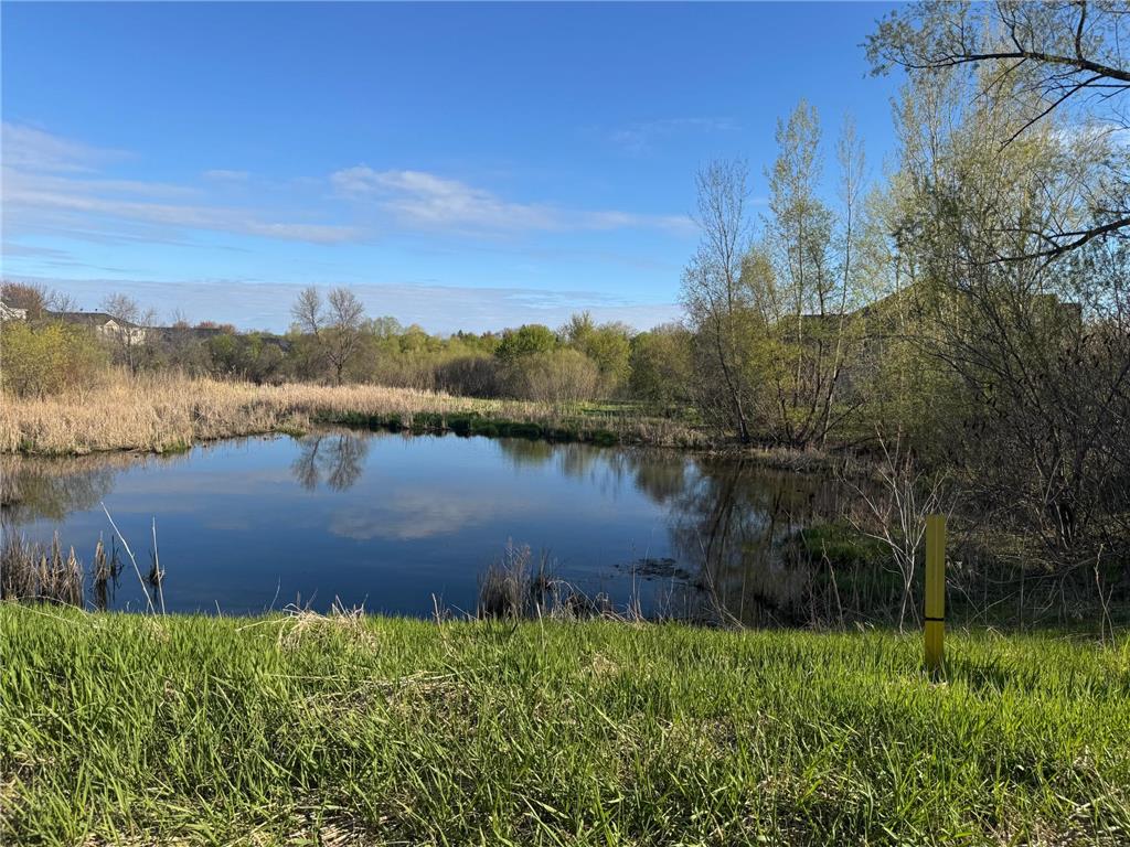 1051 Anthony Way Victoria MN 55386 7029391 image36