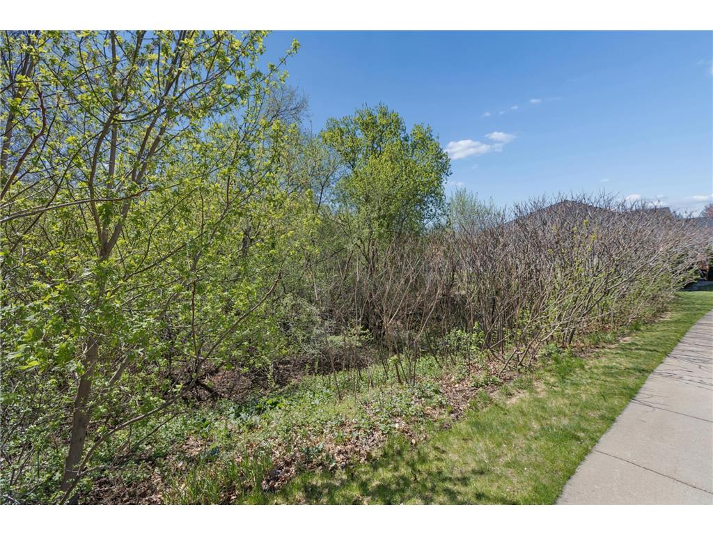 1051 Anthony Way Victoria MN 55386 7029391 image37