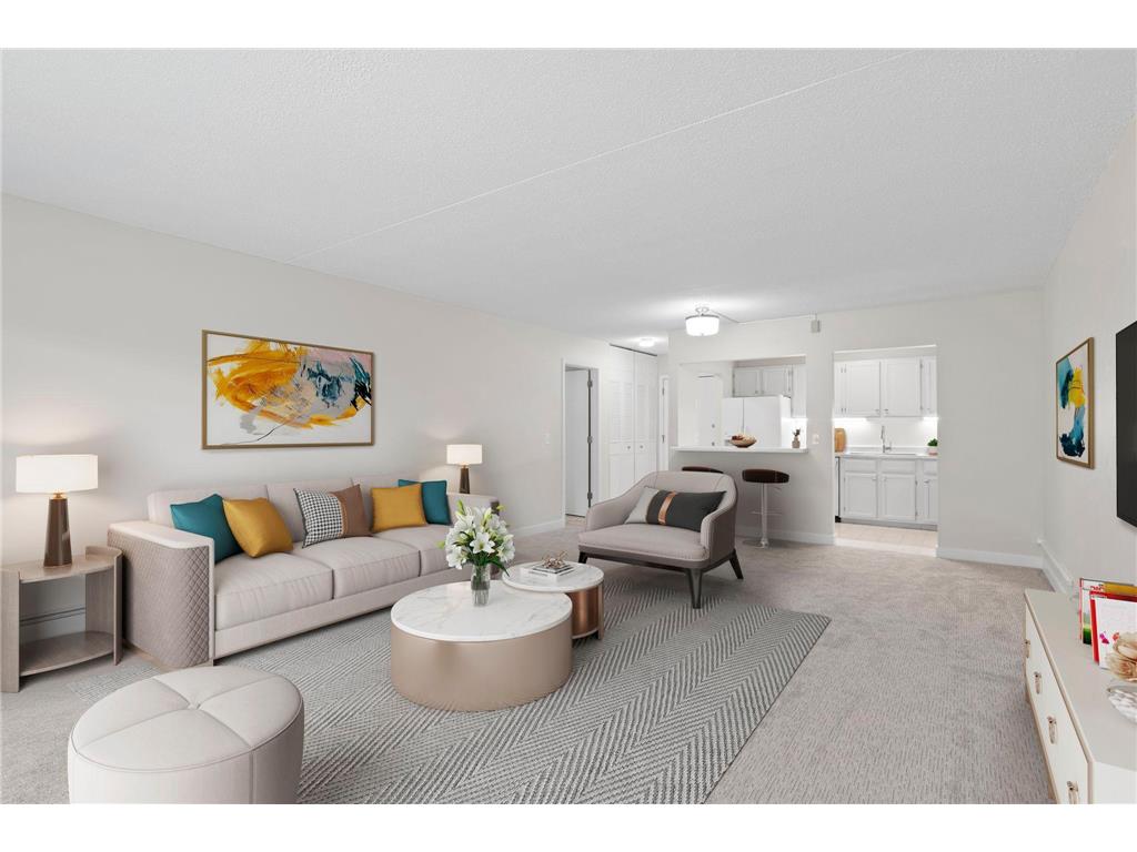 10511 Cedar Lake Road #213 Minnetonka MN 55305 6654799 image1