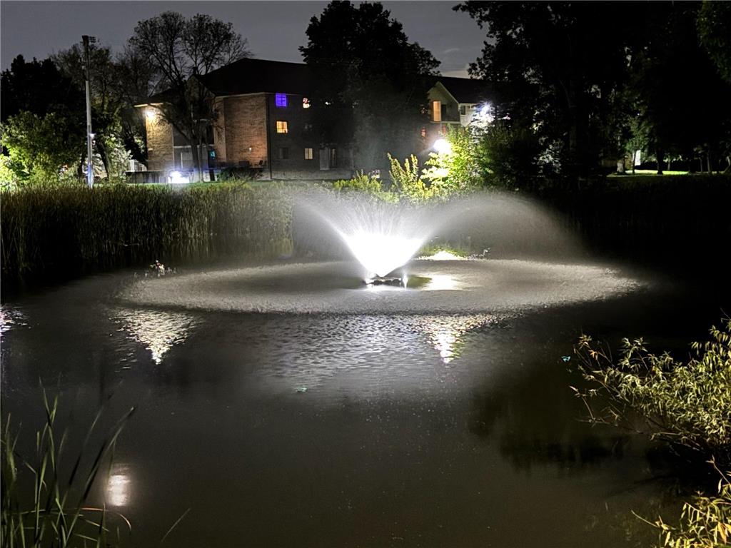 10511 Cedar Lake Road #218 Minnetonka MN 55305 6811285 image1