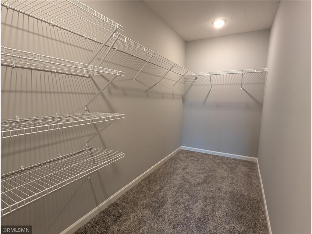 10519 Goodwin Avenue S Cottage Grove MN 55016 6775393 image17