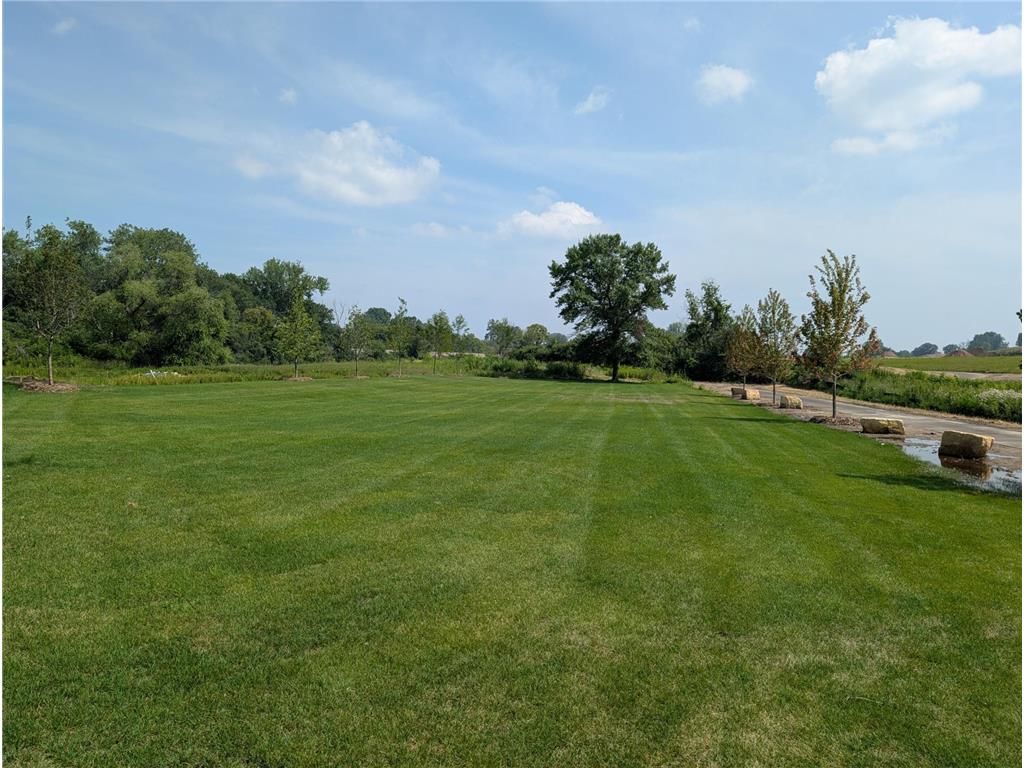 10519 Goodwin Avenue S Cottage Grove MN 55016 6775393 image23