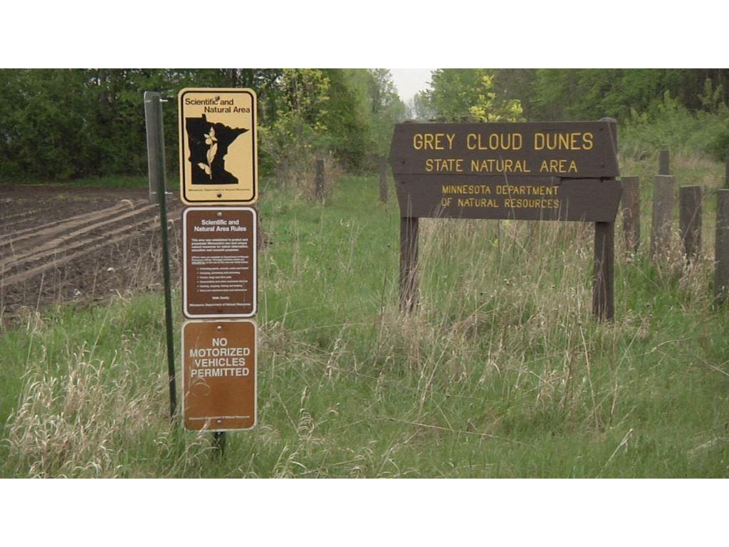 10519 Goodwin Avenue S Cottage Grove MN 55016 6775393 image26