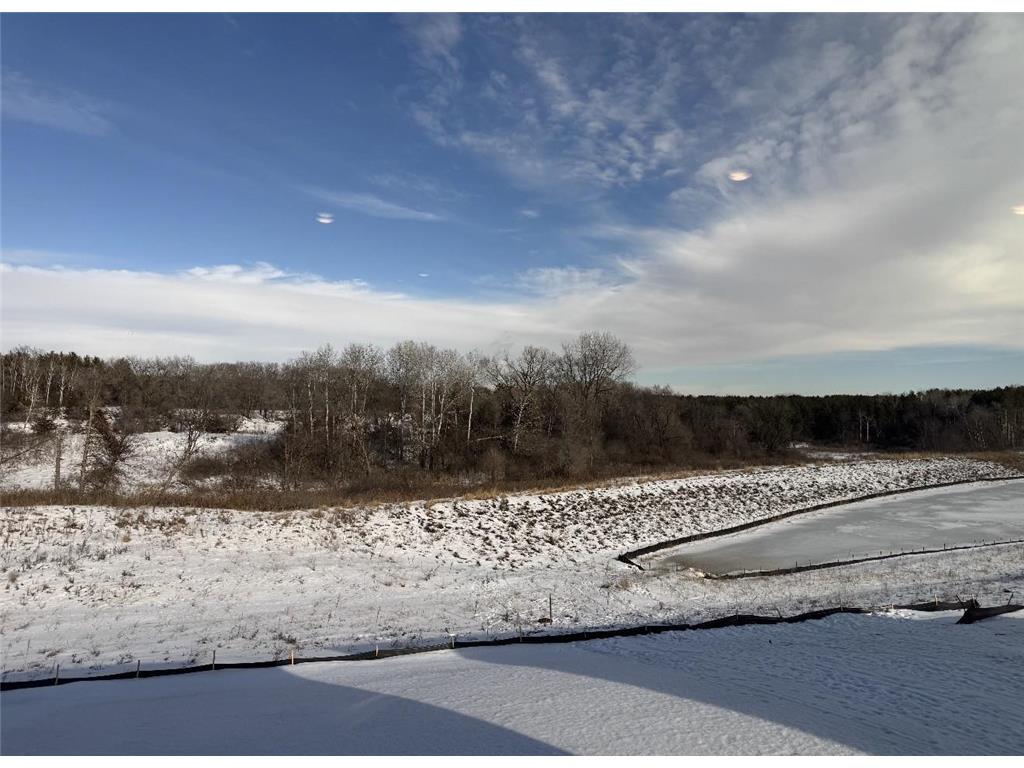 1053 Aster Boulevard Rosemount MN 55068 7019014 image18