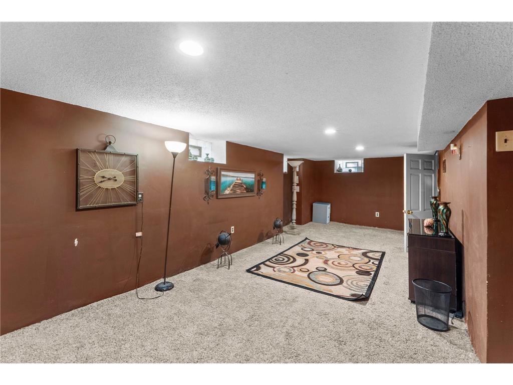 1053 Jessie Street Saint Paul MN 55130 7107390 image40