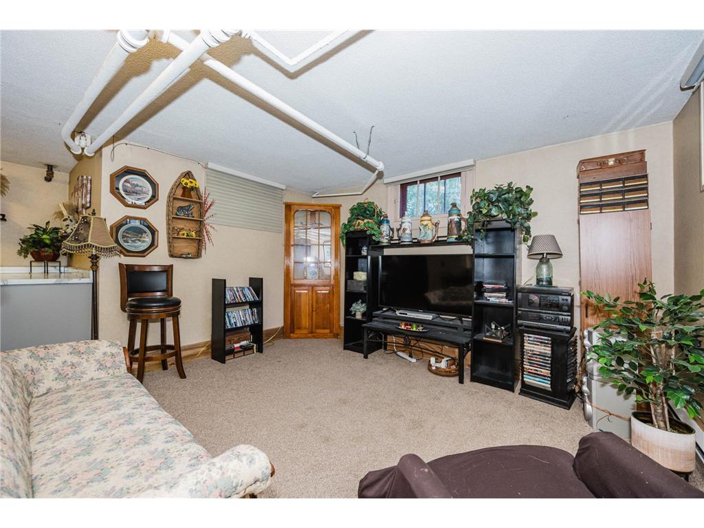 1053 Lake Avenue Detroit Lakes MN 56501 6801133 image49