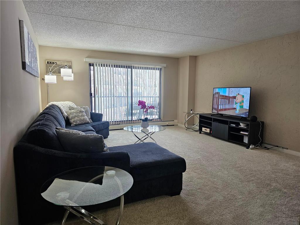 10531 Cedar Lake Road #318 Minnetonka MN 55305 6344671 image1