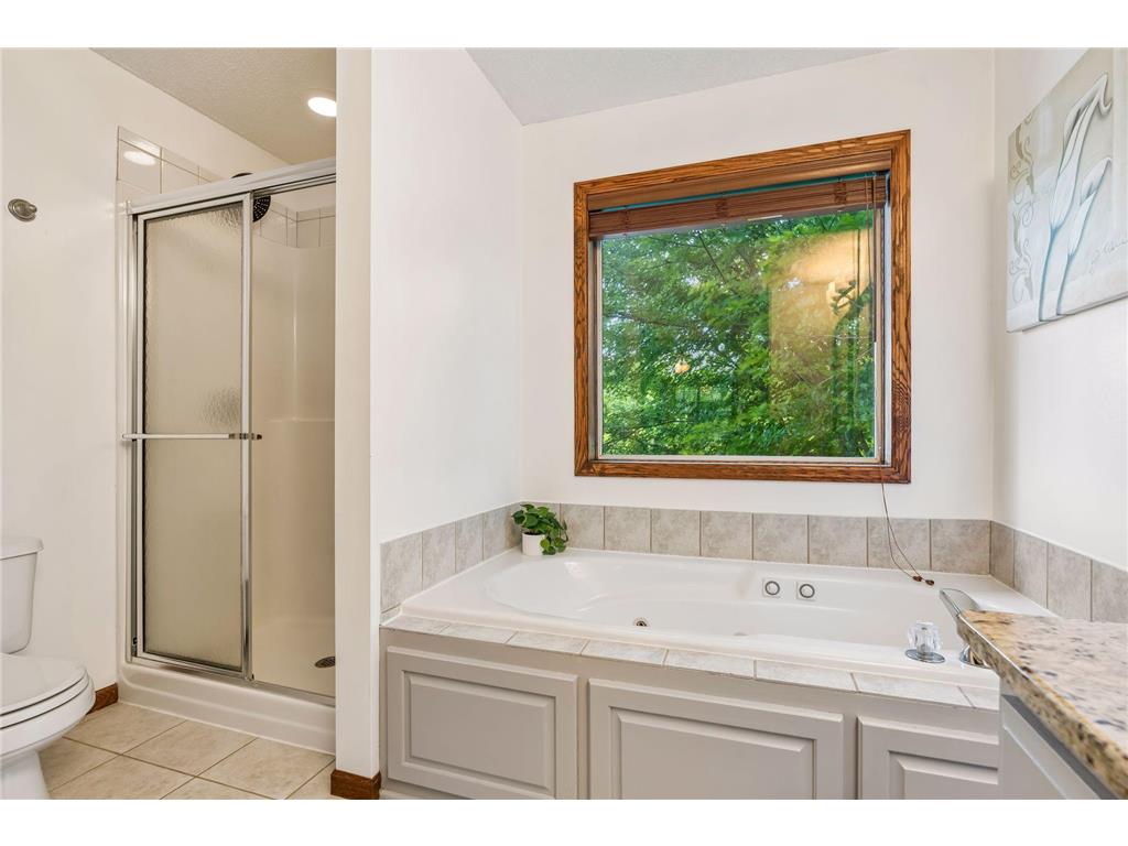 10531 Golden Eagle Trail Woodbury MN 55129 7092583 image27