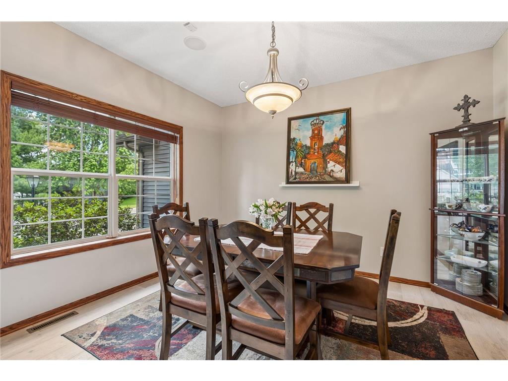 10531 Golden Eagle Trail Woodbury MN 55129 7092583 image7
