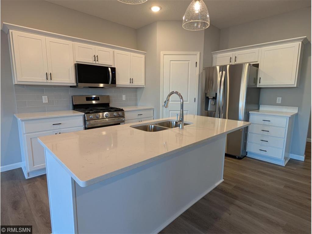 10538 Goodview Avenue S Cottage Grove MN 55016 7051877 image4