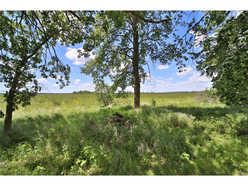10538 Minnesota Island Landing NW Walker MN 56484 - Leech Lake 7071607 image33