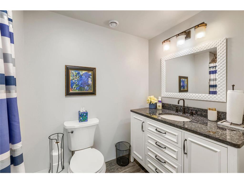10538 Scott Avenue N Brooklyn Park MN 55443 7076965 image30