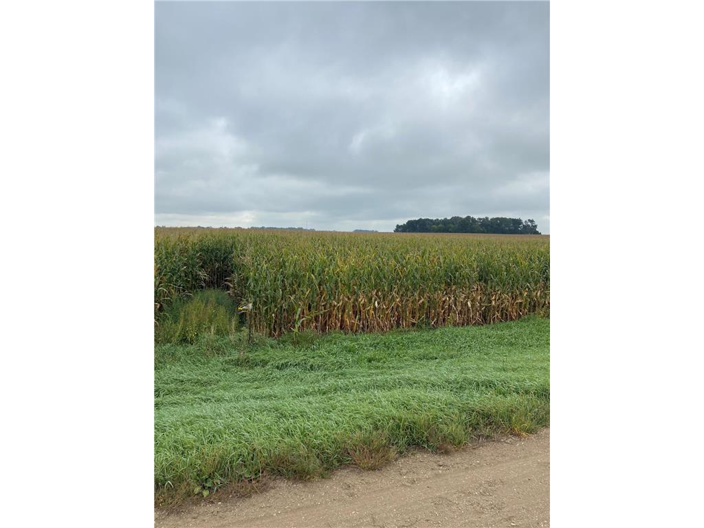 10544 State Highway 4 Saint James MN 56081 6787176 image1